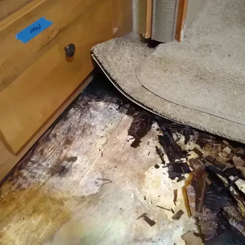 Best Wood Floor Water Damage Service in City of Virginia Beach, VA